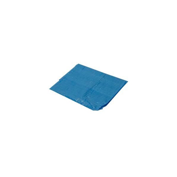 Harpster Of Philipsburg Light Duty Tarp, Blue, High-Density Polyethylene B4x6 - main